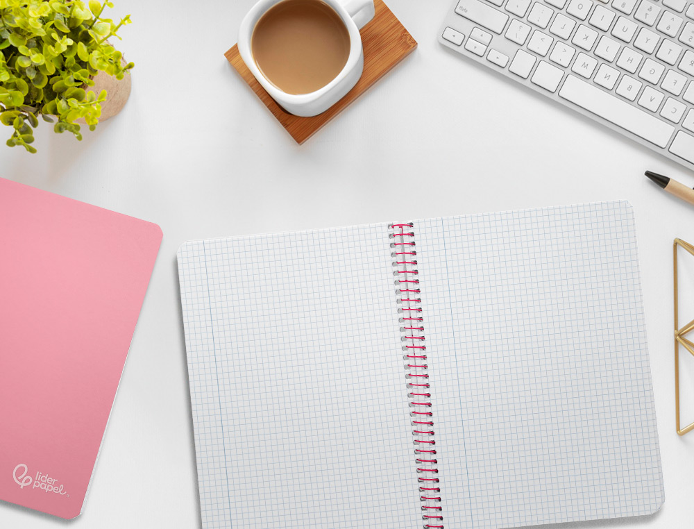 CUADERNO ESPIRAL LIDERPAPEL A5 WITTY TAPA DURA 80H 90GR CUADRO 4MM CON MARGEN COLOR ROSA