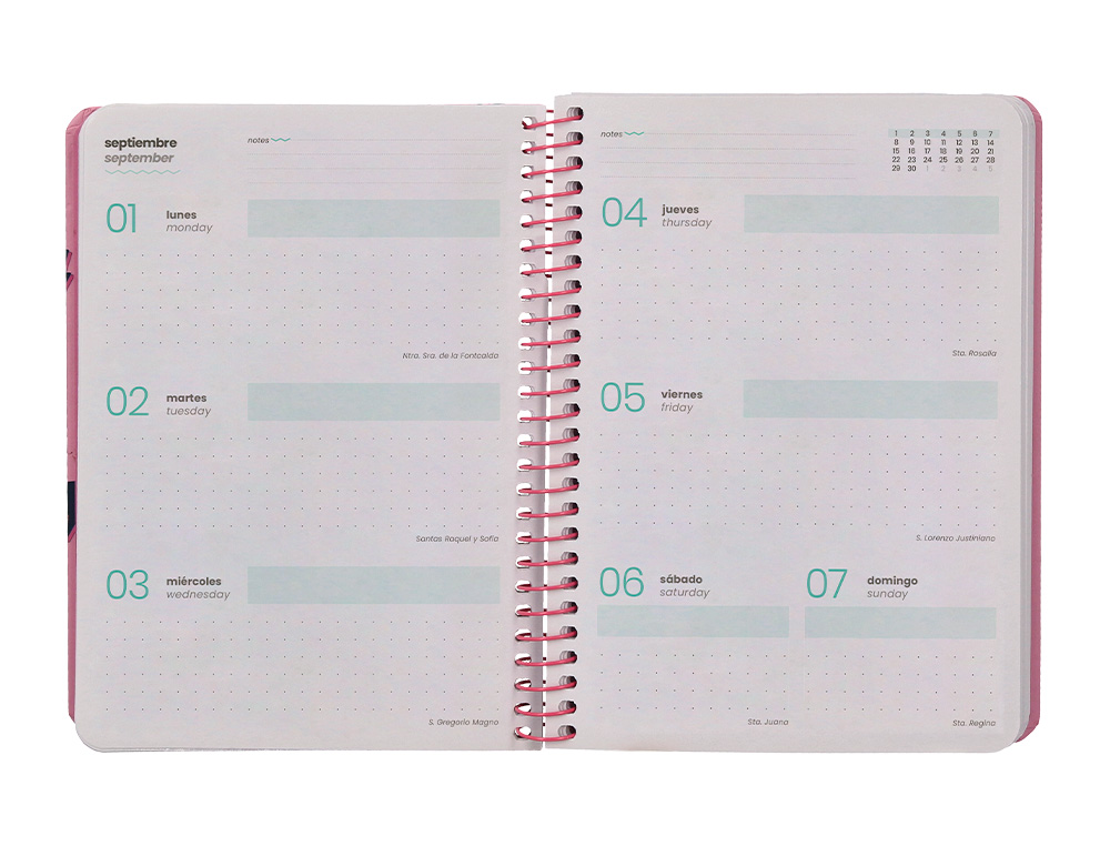 AGENDA ESCOLAR LIDERPAPEL 25-26 ESPIRAL PATTERNS RAYOS ROSA SEMANA VISTA A6 BILINGE PAPEL FSC 80 GR