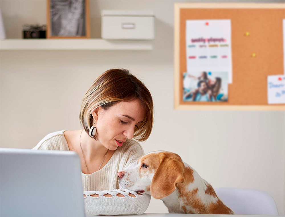 PIZARRA CORCHO Q-CONNECT 90X60 CM MARCO DE MADERA