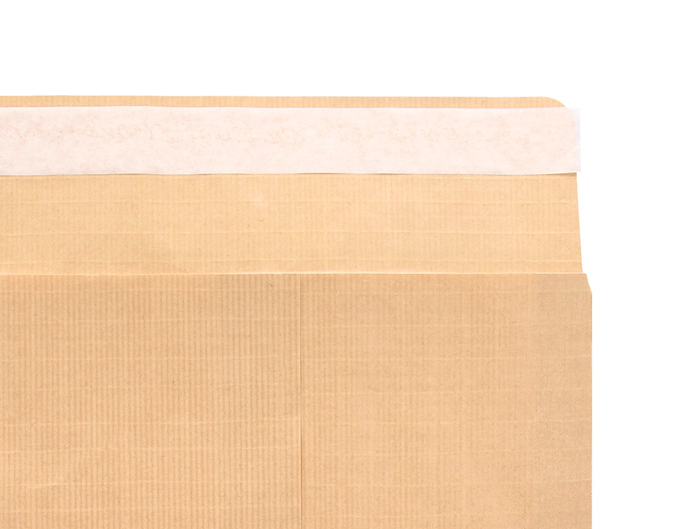 SOBRE LIDERPAPEL BOLSA N.1 KRAFT SALARIOS 100X145 MM TIRA SILICONA CAJA DE 1000 UNIDADES